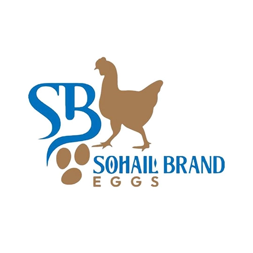 sb sohail brand eggs